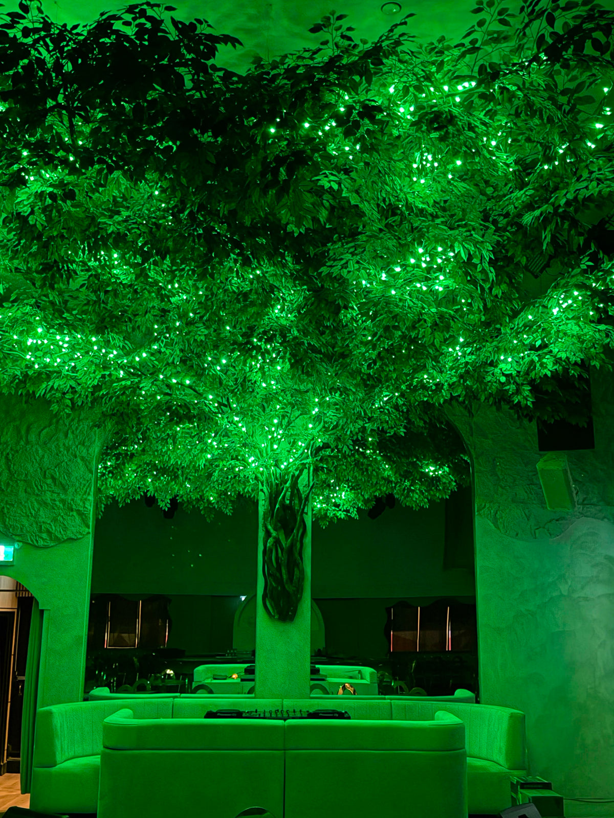 Event lighting at ALIA